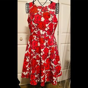 Ladies dress